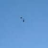 1st Operation Toy Drop 062